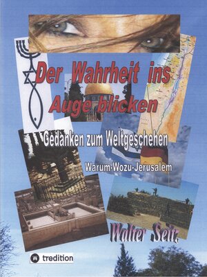 cover image of Der Wahrheit ins Auge blicken